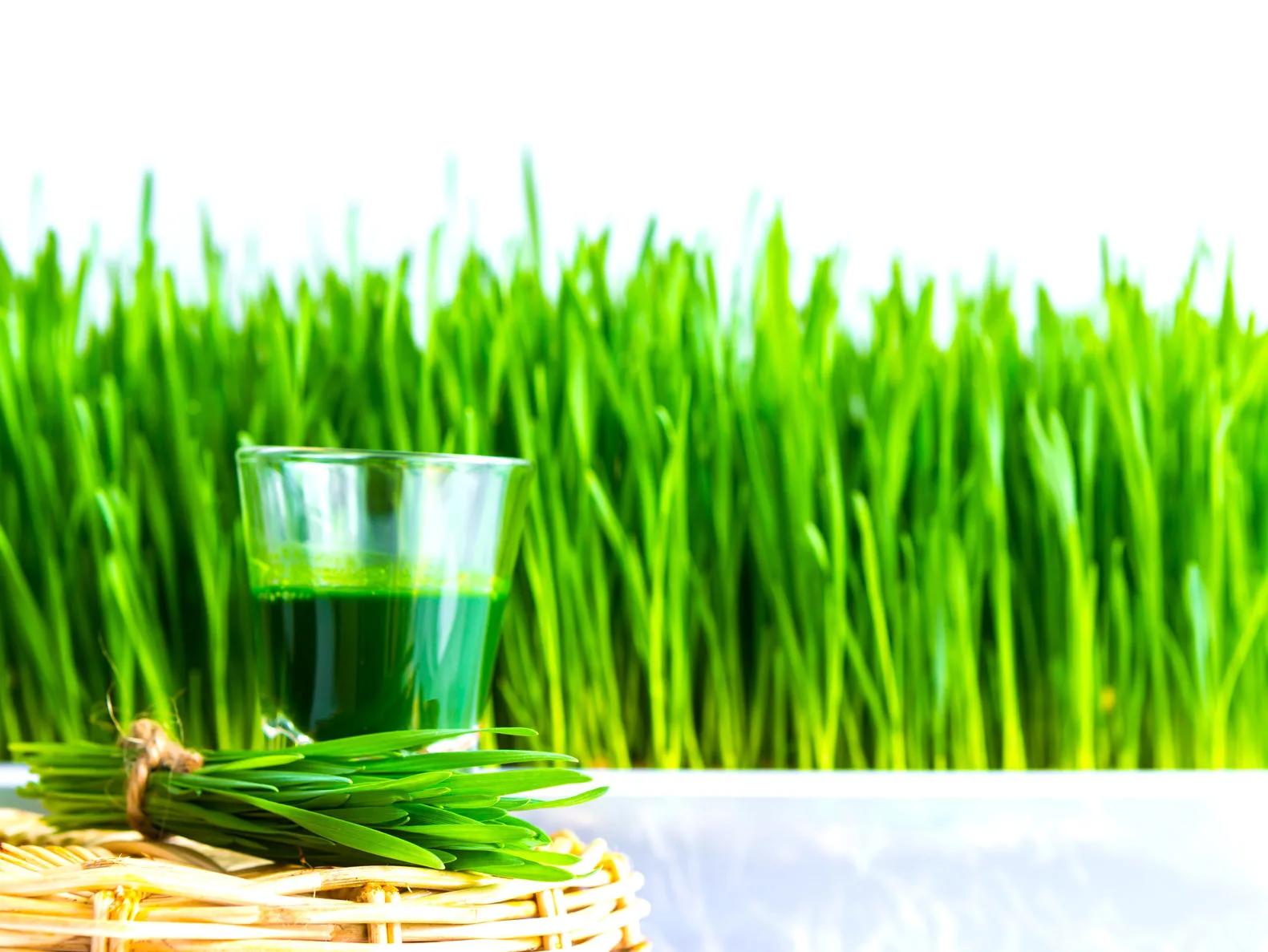 make your own greens juice