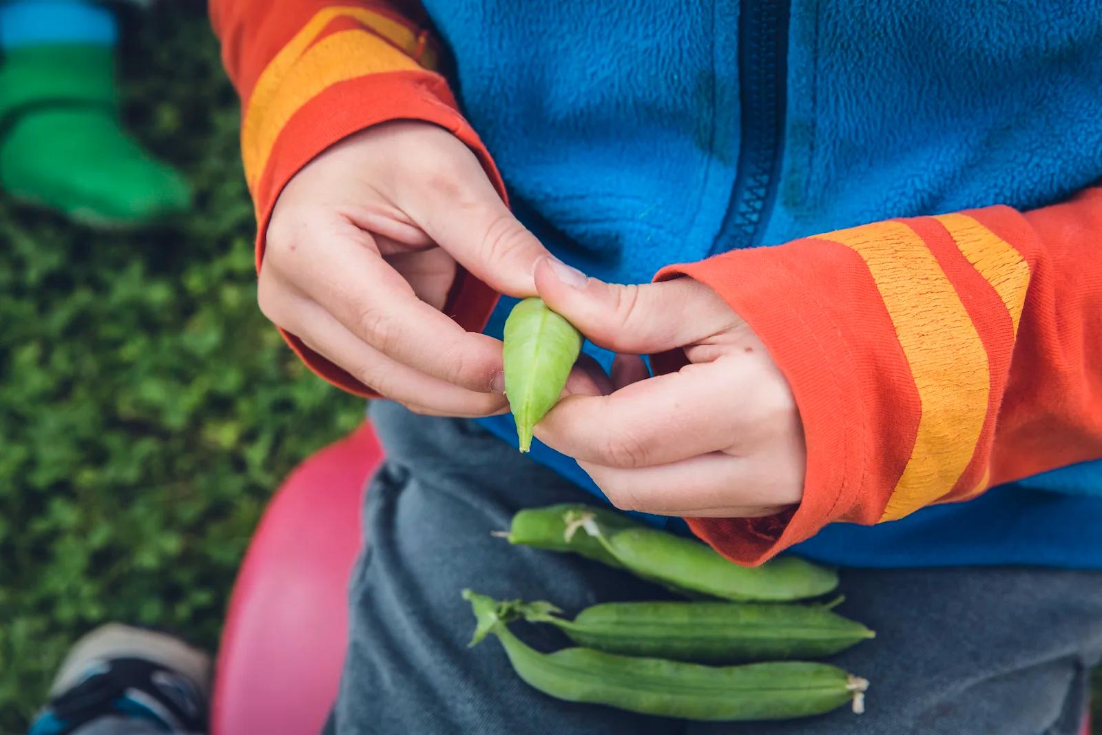 raising healthy eaters tips never do