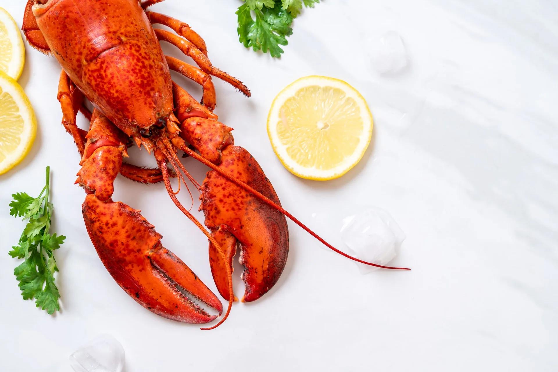 Got Gout? You Can Avoid This Painful Form of Arthritis by Limiting Foods High in Purines