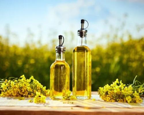 Is Canola Oil Bad for You?