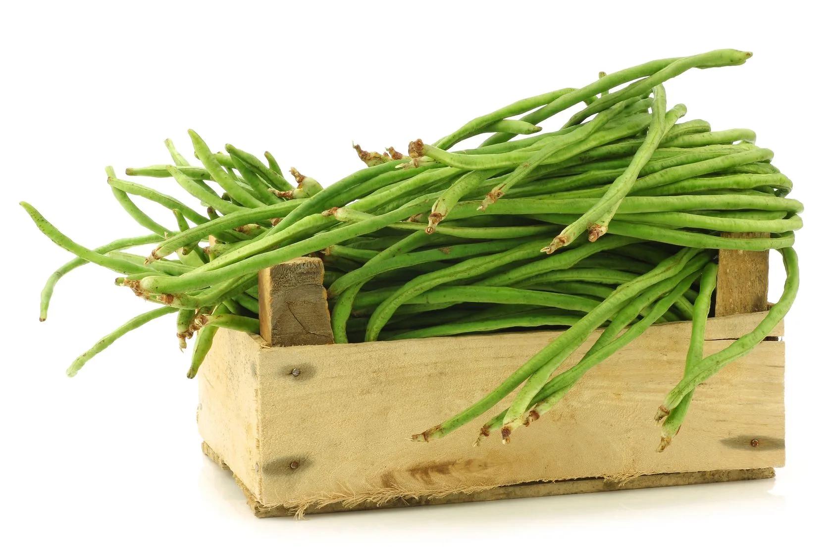 community supported agriculture benefits