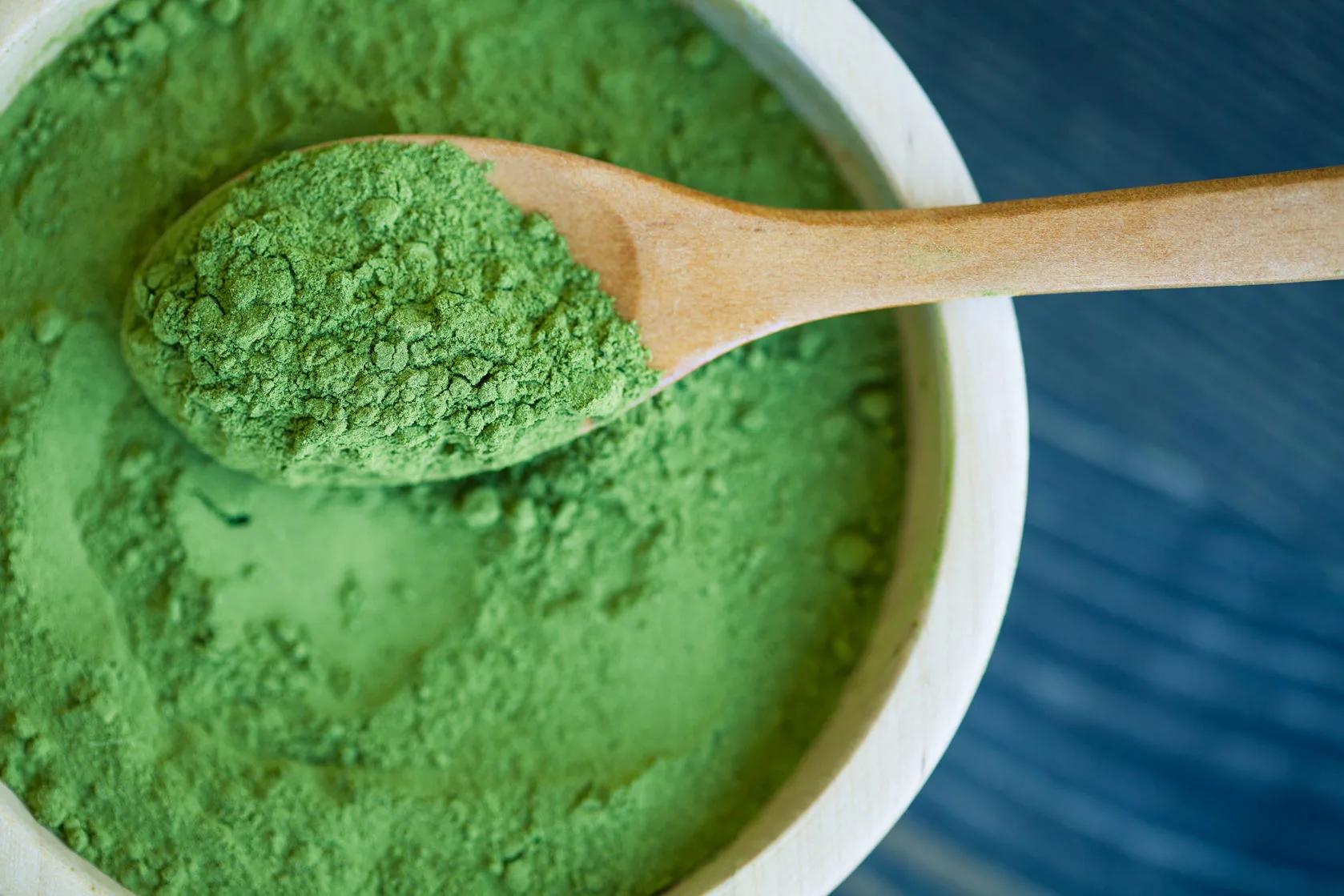 what is moringa