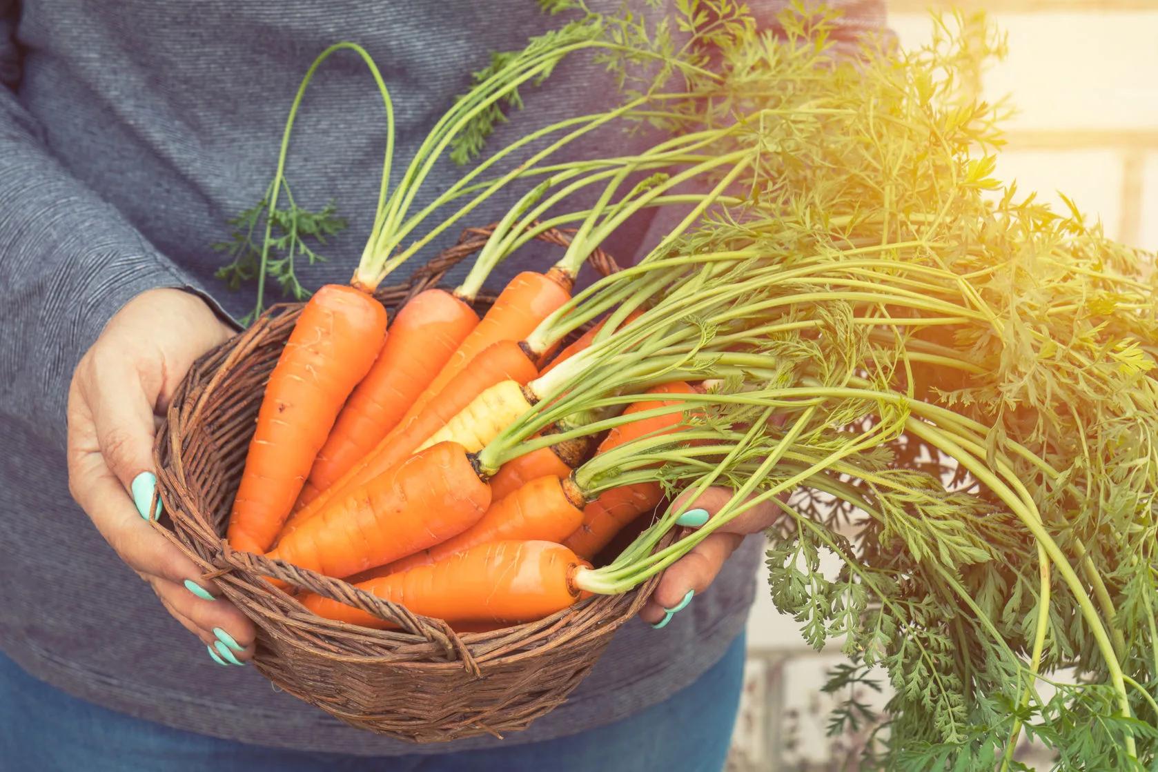 How to Do Farm to Table in the Fall