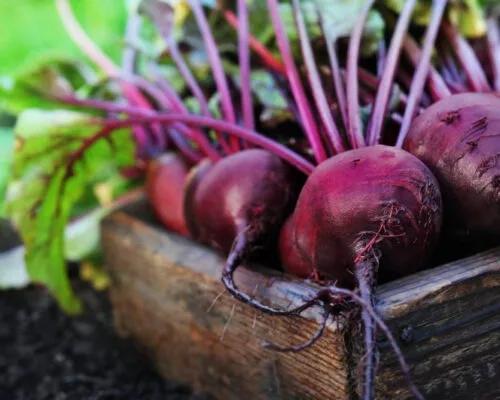 9 Creative Ways to Cook With Beets