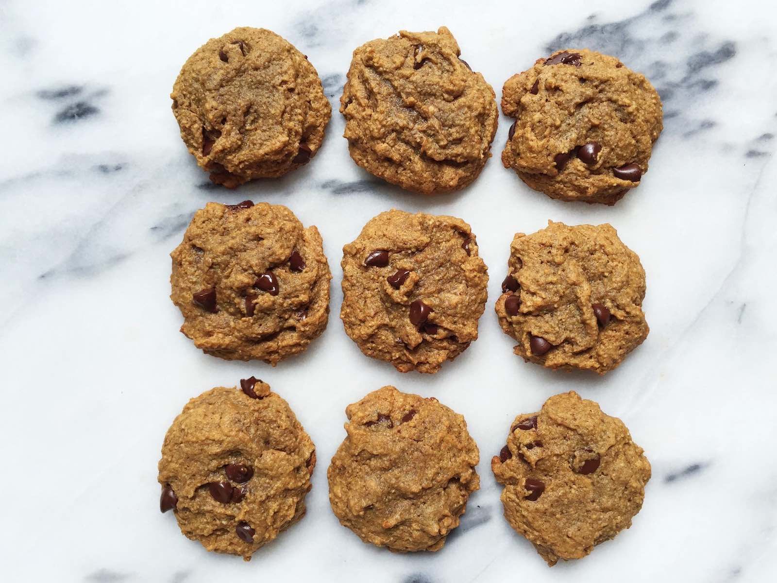 paleo chocolate chip cookies