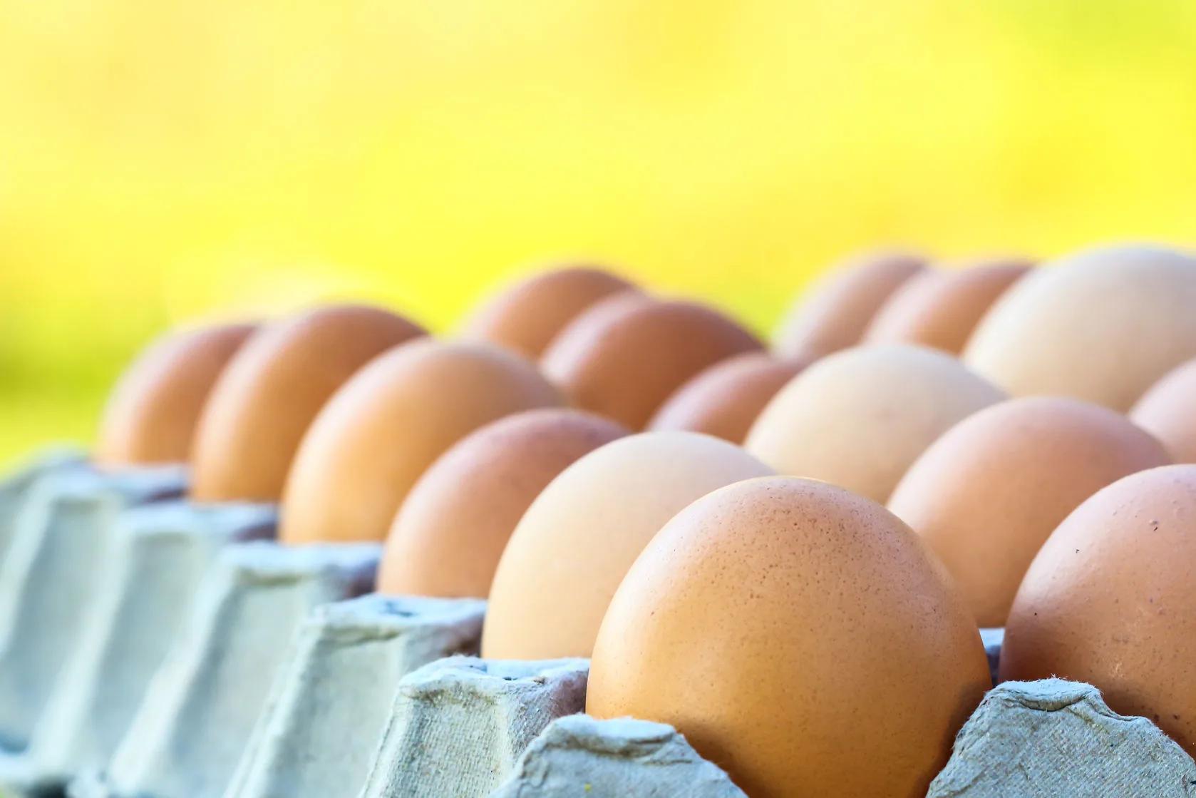 How to Buy Eggs: What the Confusing Labels Mean