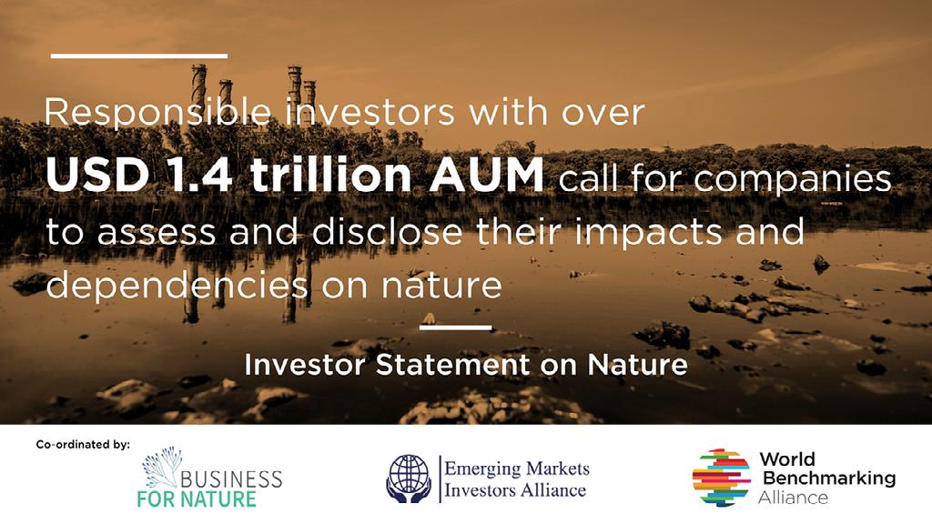 Investor Statement on Nature