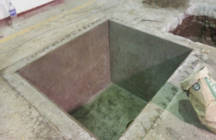 Bases para planta de quinua