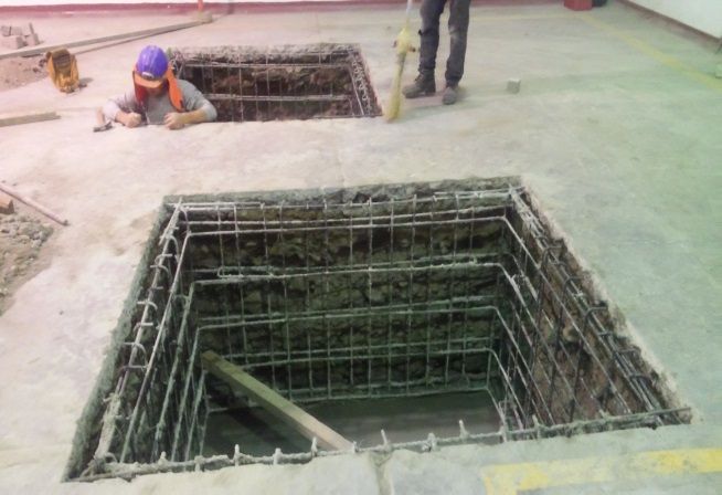 Bases para planta de quinua