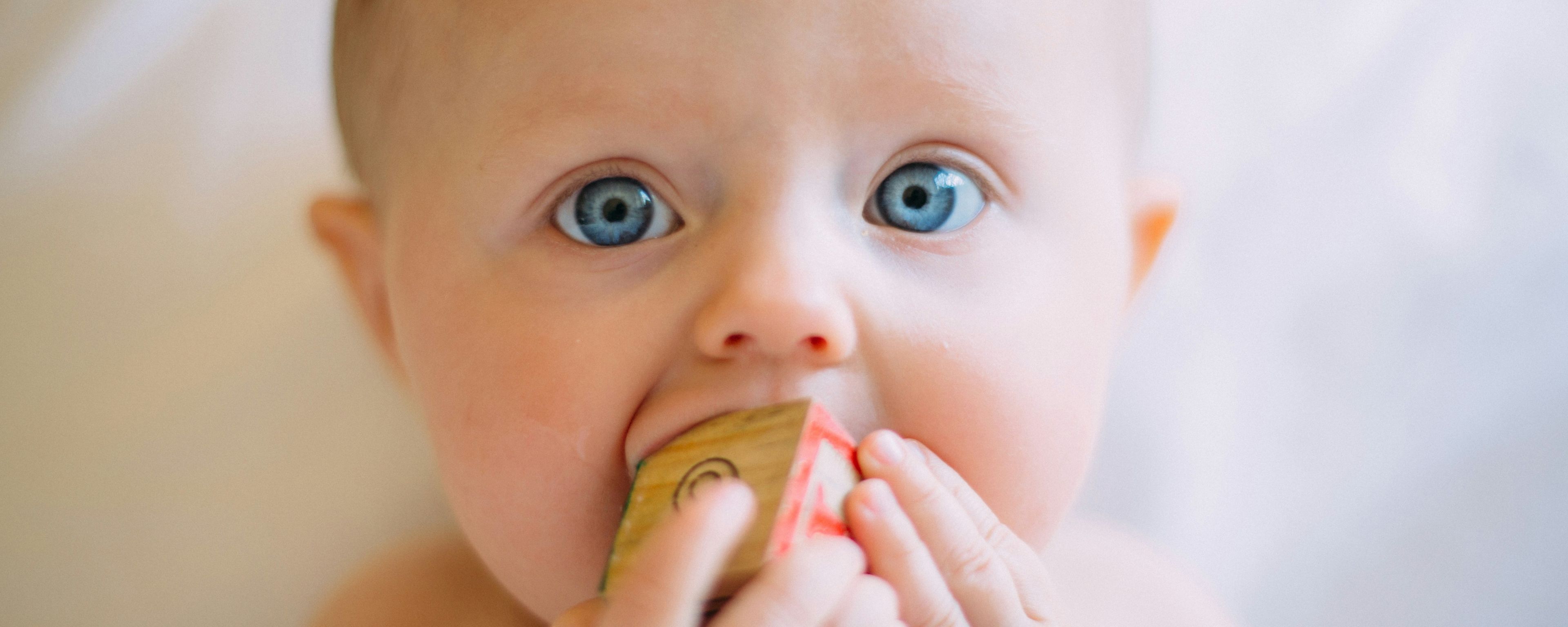 baby chewing on a wooden toy