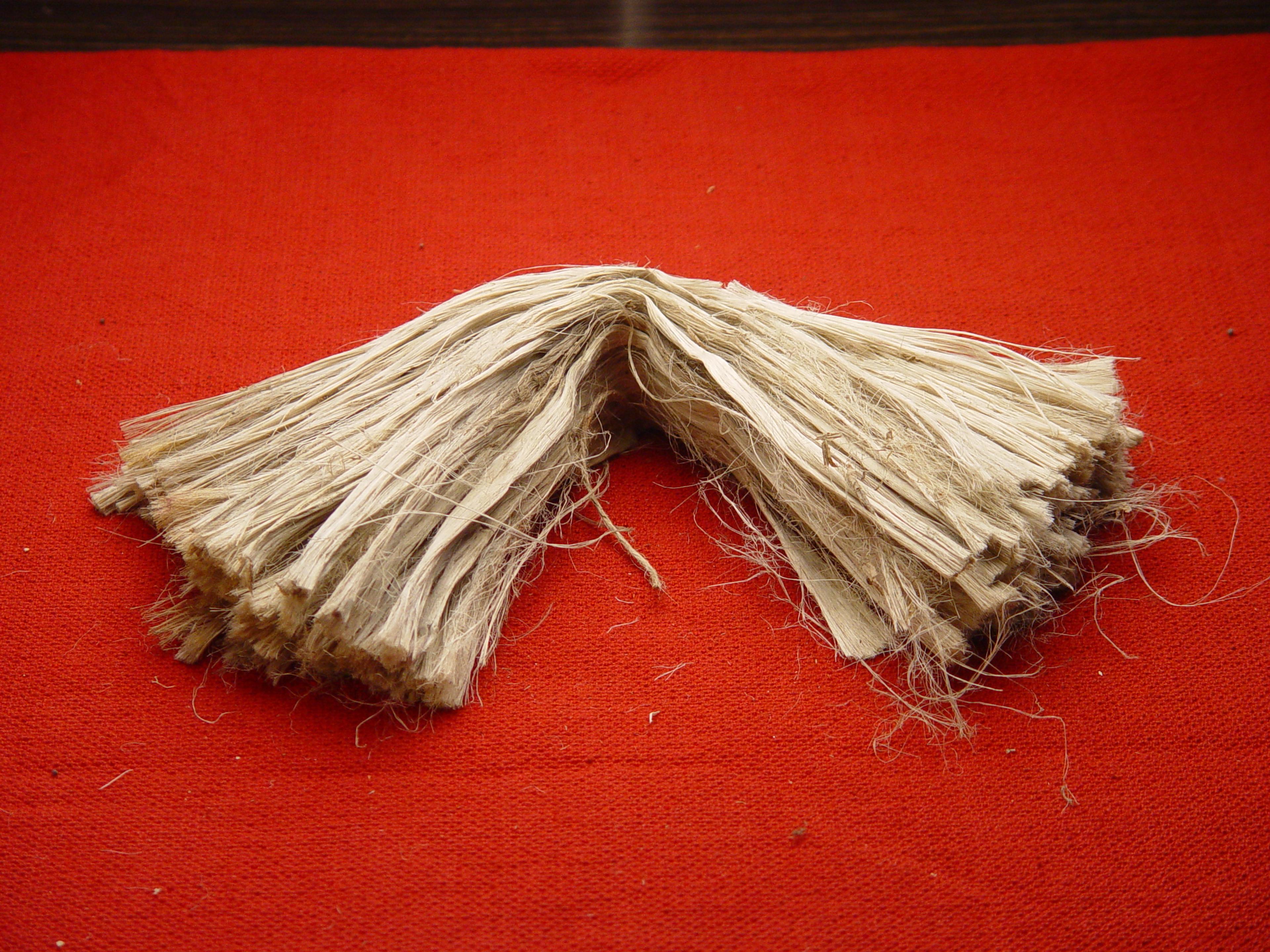 A hank of raw golden jute fibre