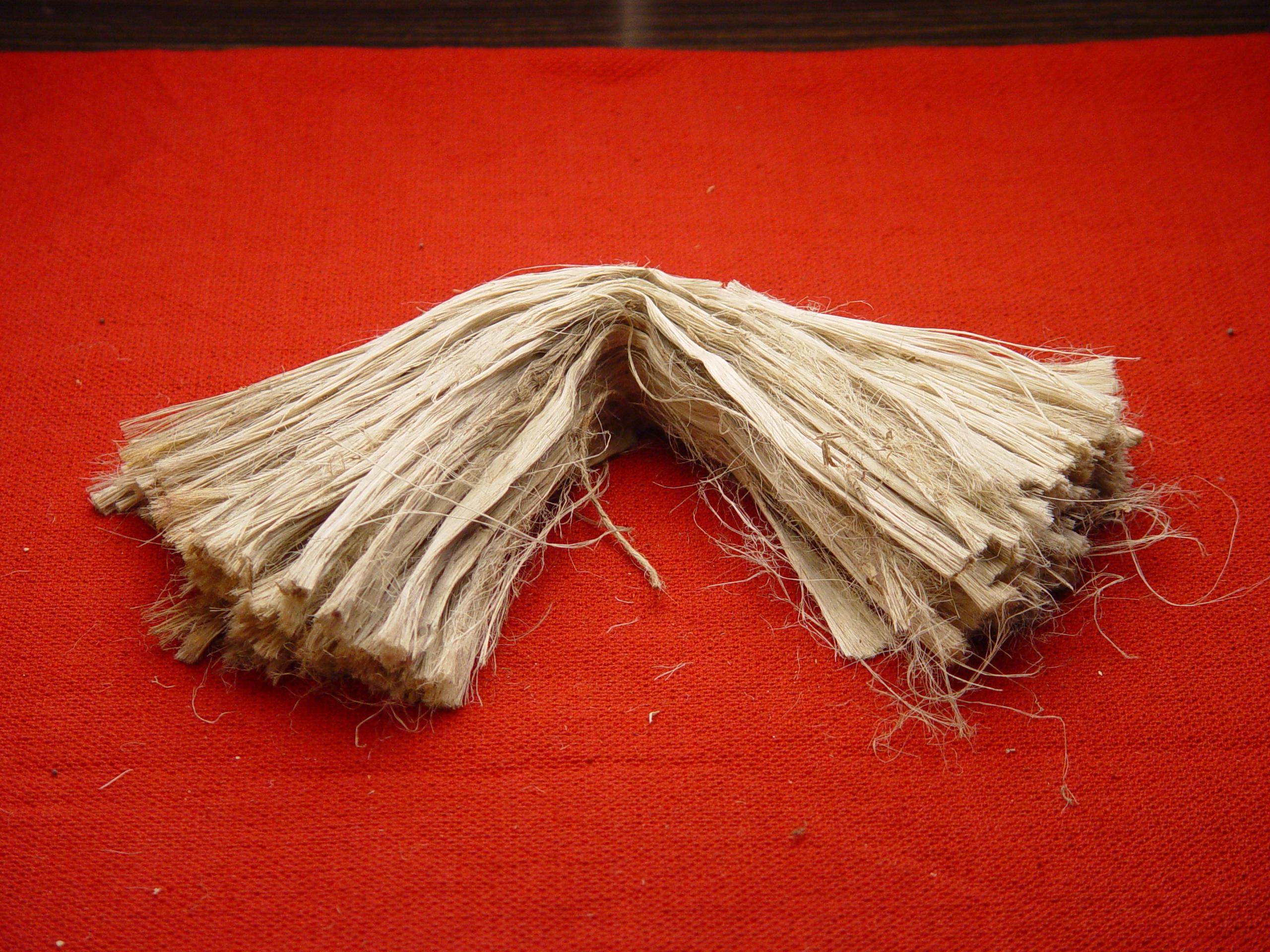 A hank of raw golden jute fibre