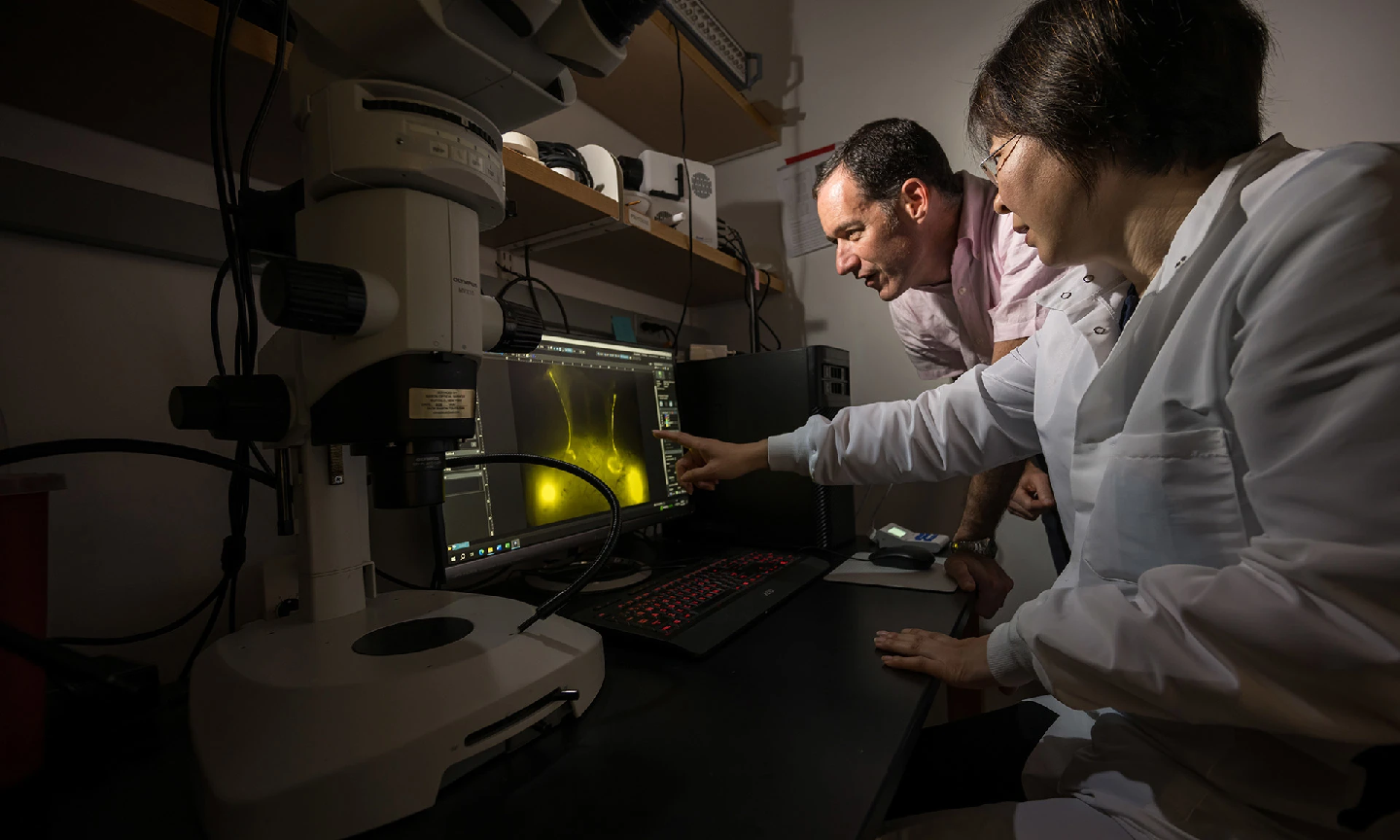 Теміртауда секс танысу