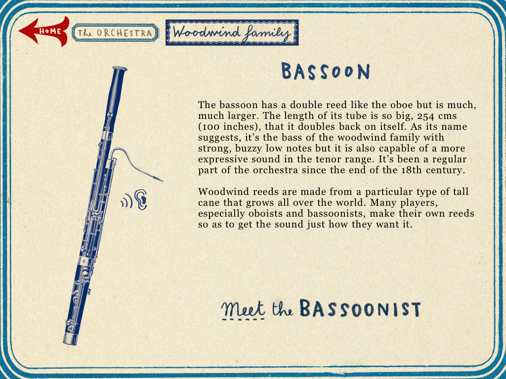 The Orchestra bassoon