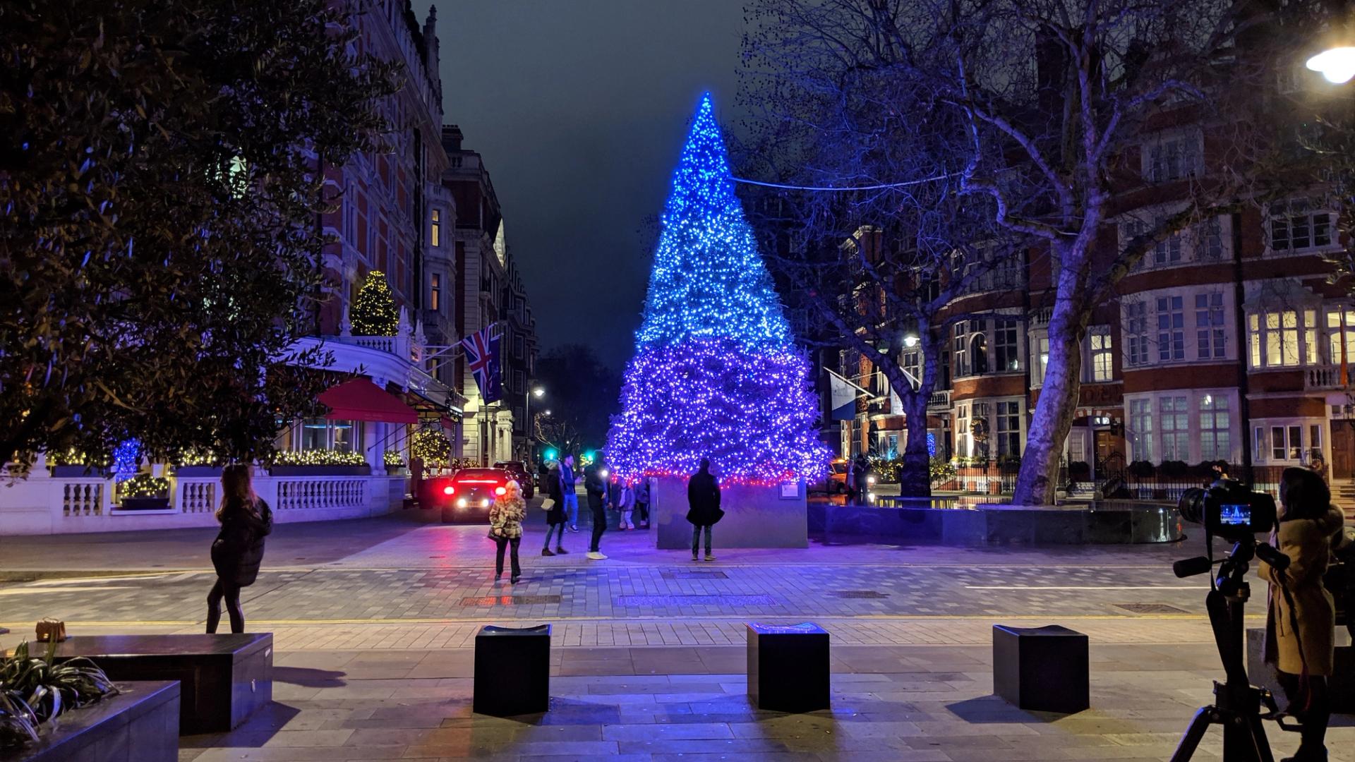 Connaught Christmas tree lights