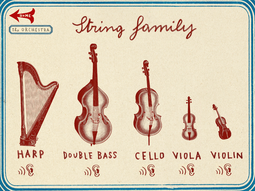 The Orchestra string family