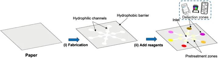 Advancements and challenges in microfluidic paper-based analytical devices: design, manufacturing, sustainability, and field applications
