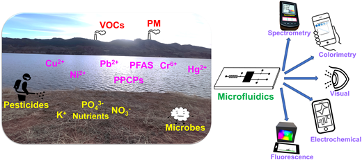 Microfluidics in Environmental Analysis: Advancements, Challenges, and Future Prospects for Rapid and Efficient Monitoring