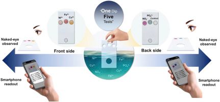 Smartphone-Assisted Dual-Sided Capillary Microfluidic Device for Multiplex Detection of Heavy Metals and Nutrients in Drinking Water