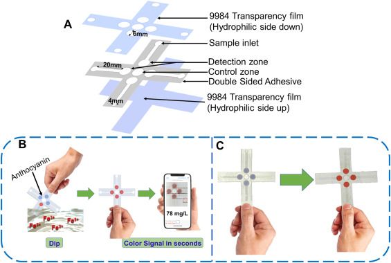 Smartphone-enabled green anthocyanin sensor for Fe(III) sensing on paper using capillary-driven microfluidics