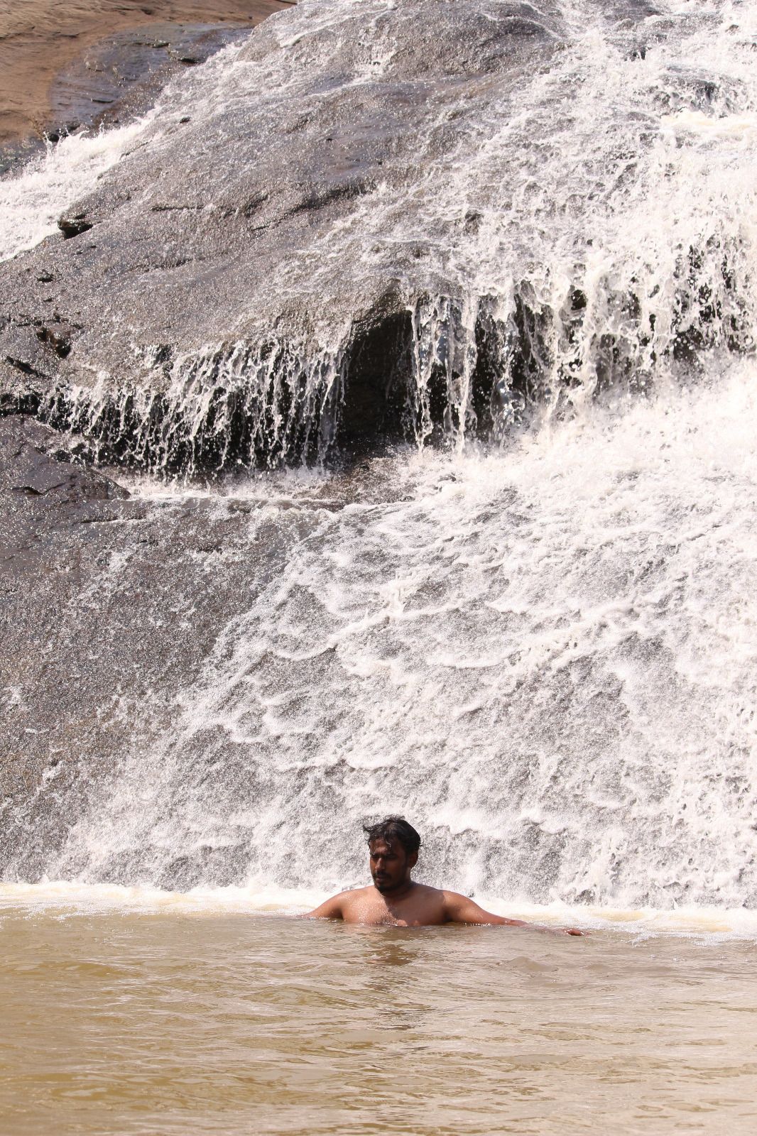 Gummi Falls Adventure