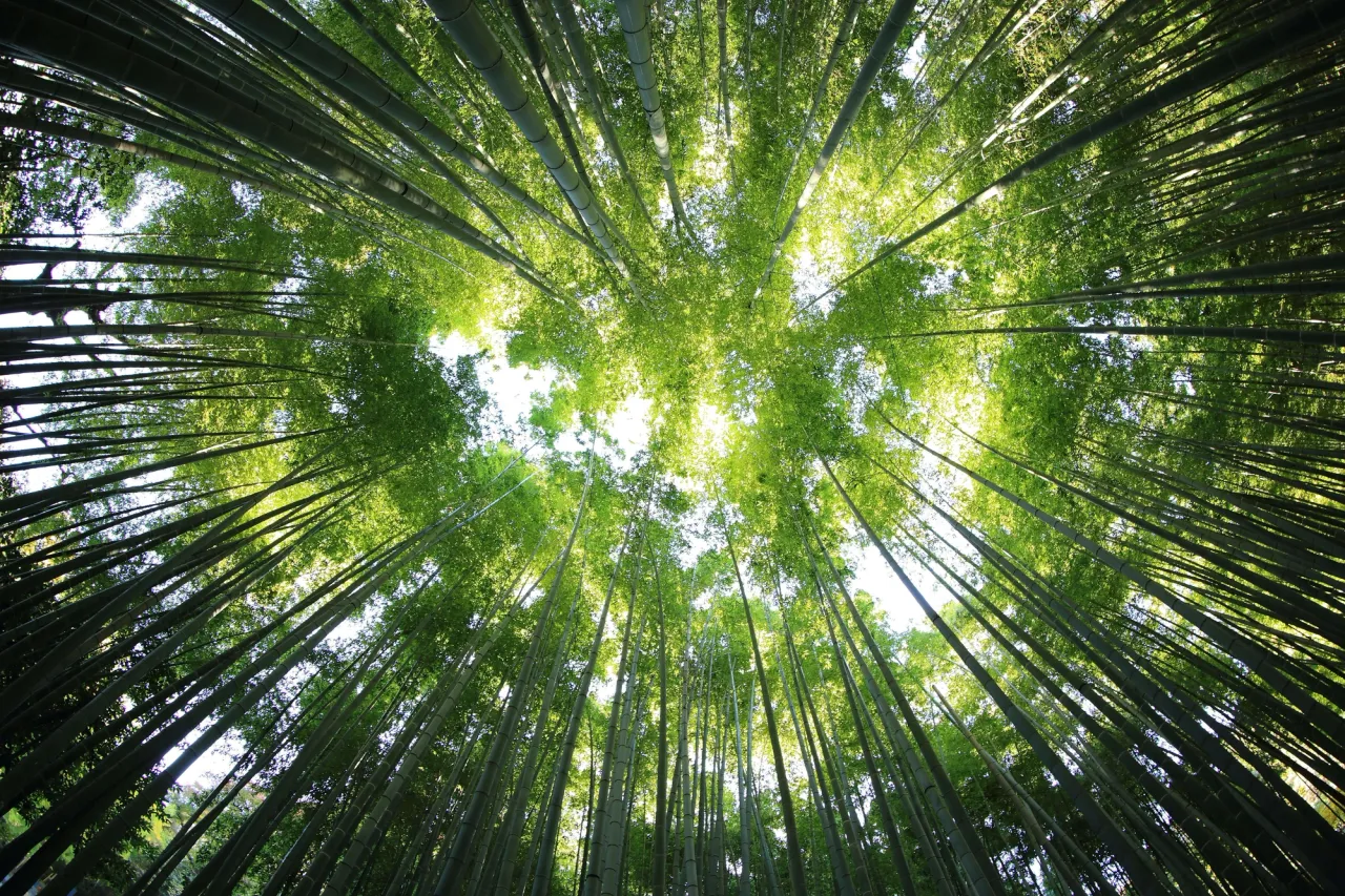 Nous œuvrons  pour la transition écologique