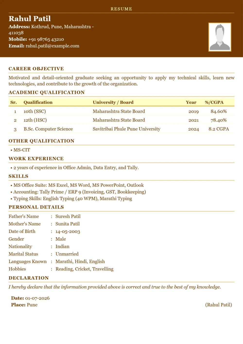 Elegant Professional Resume Template with Modern Design