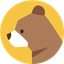 Brainybear logo