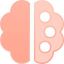 PaletteBrain logo