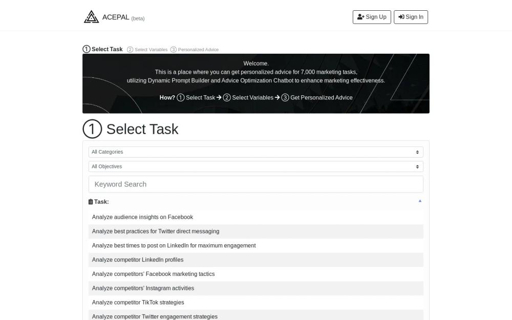 ACEPAL website screenshot ACEPAL website screenshot