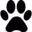 ShortGen Video logo