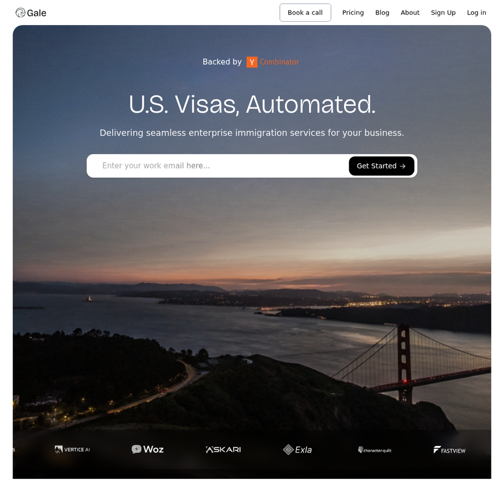Gale Visa website screenshot Gale Visa website screenshot