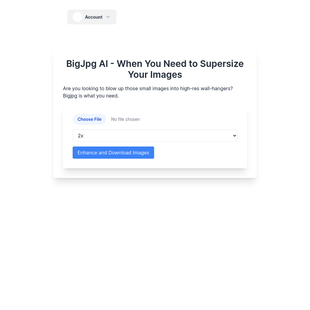 BigJpg AI website screenshot BigJpg AI website screenshot