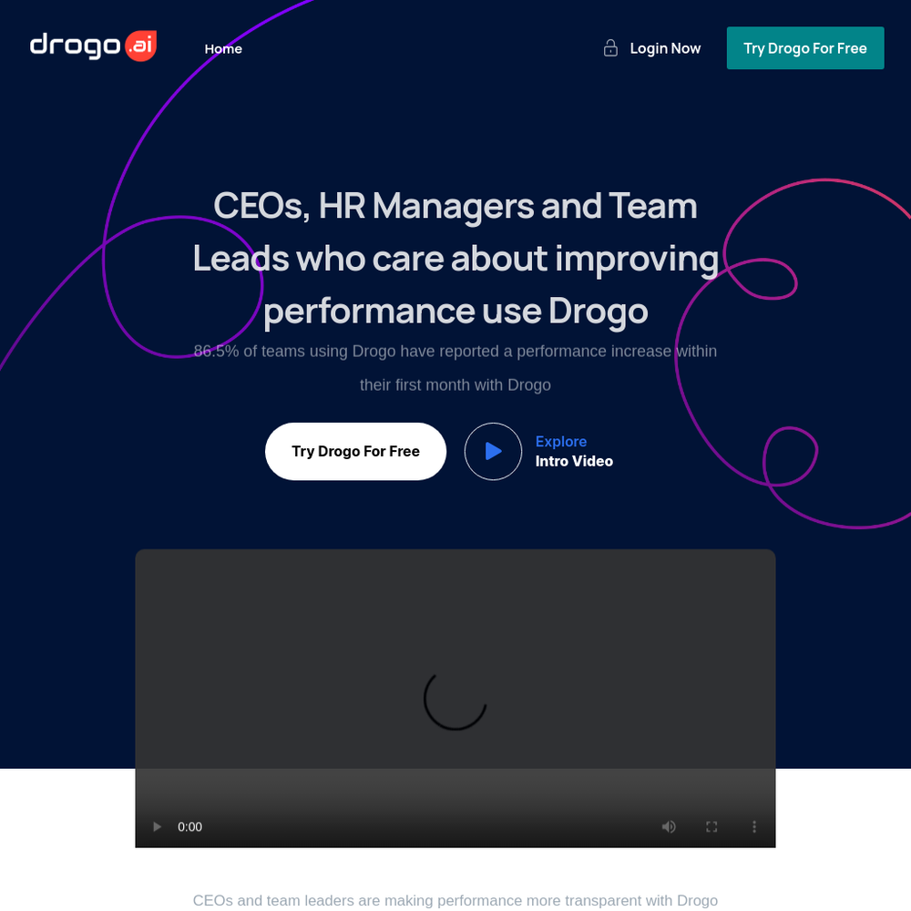 DrogoAI website screenshot DrogoAI website screenshot
