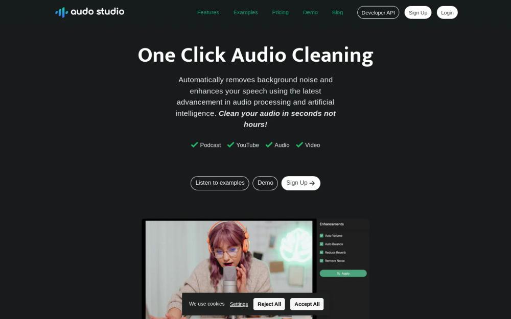 Audo AI website screenshot Audo AI website screenshot