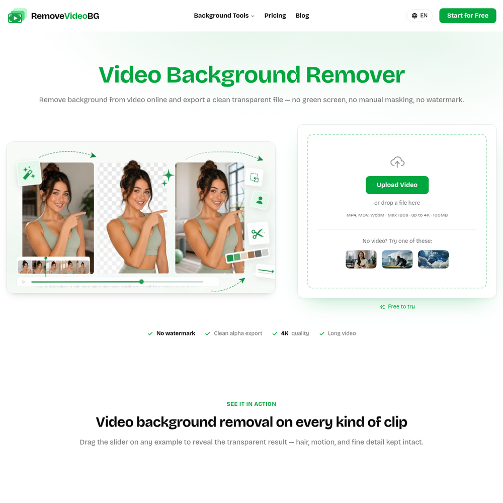 RemoveVideoBG website screenshot RemoveVideoBG website screenshot
