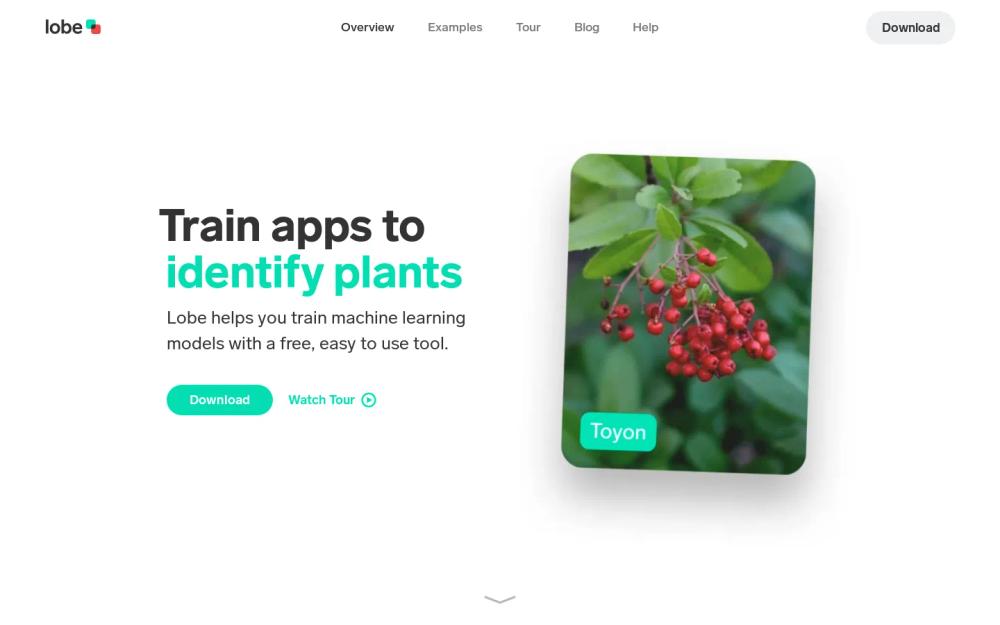 Lobe AI website screenshot Lobe AI website screenshot