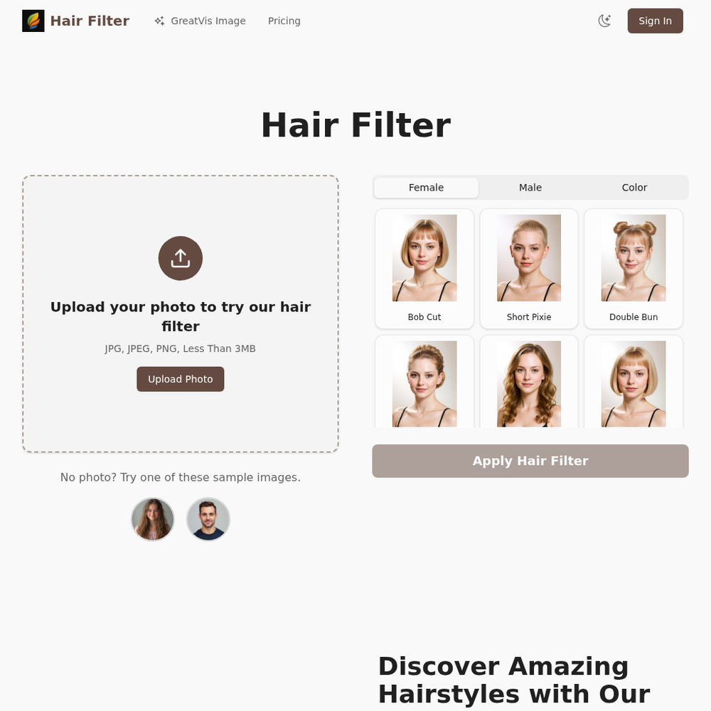 Hair Filter website screenshot Hair Filter website screenshot