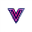 Vidgo AI logo