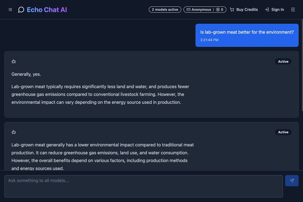 Echo Chat AI website screenshot Echo Chat AI website screenshot