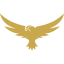 Logo of Valkyrie