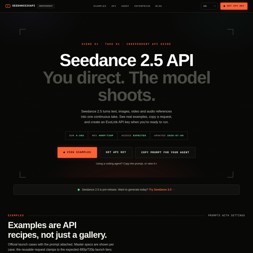 Seedance 2.5 API website screenshot Seedance 2.5 API website screenshot