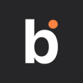 bitApp logo