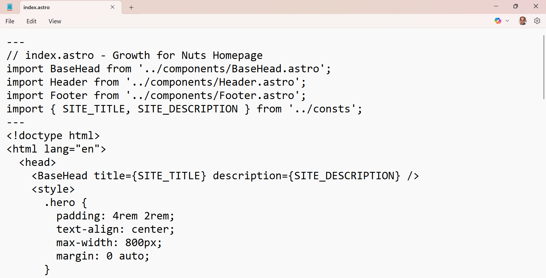 Notepad window with code file open
