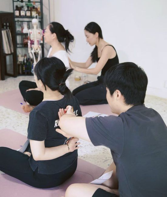 Pilates Reformer Seated