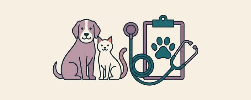 Veterinary header illustration
