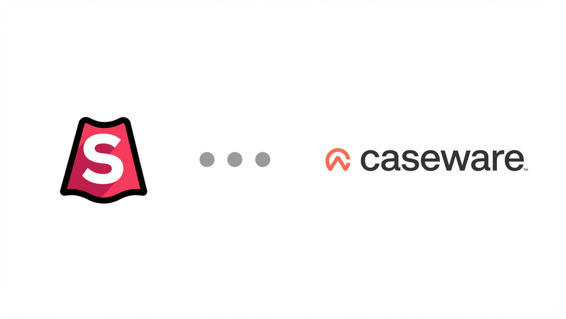 CaseView from CaseWare API