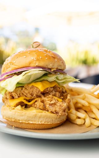 Burger and Beer Night
