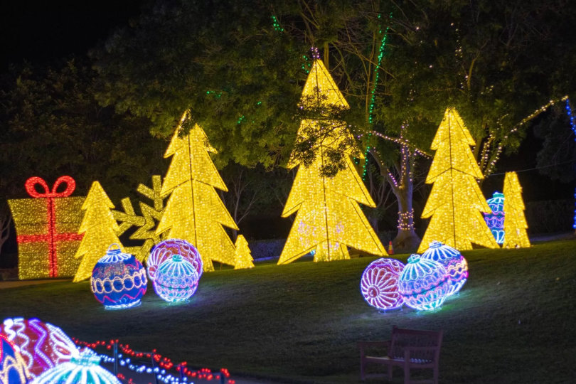 Celebrate the magic of the festive season