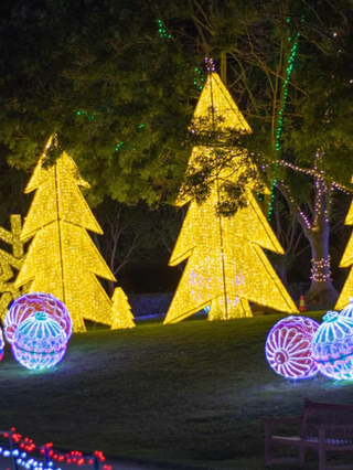 Celebrate the magic of the festive season